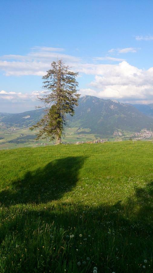 Ferienwohnung Schoenau Immenstadt im Allgäu Zewnętrze zdjęcie